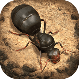 小小蚁国正版手机版(The Ants)
