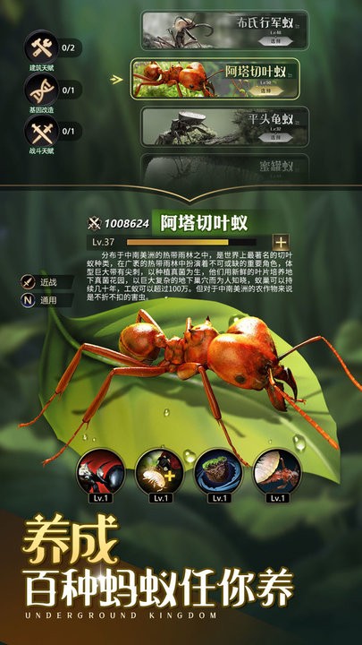 小小蚁国正版手机版(The Ants) v1.46.0 安卓官服版 0