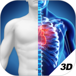 3D人体解剖图谱app免费版