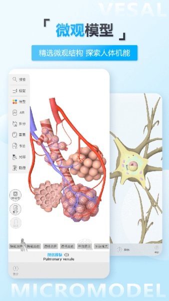 维萨里3D解剖教学下载