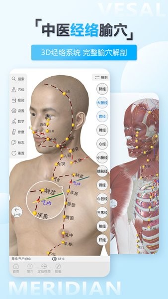 维萨里3D解剖教学app手机版 v6.1.0 安卓版 3