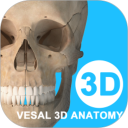 3D人体解剖软件