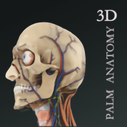 掌上3D解剖手机版
