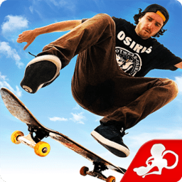 Skateboard Party 3手机版官方版