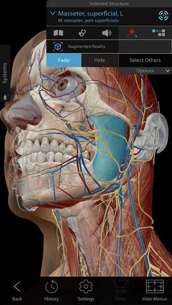 atlasѧͼ2023°(Human Anatomy Atlas 2023) v2023.02.001 ׿1