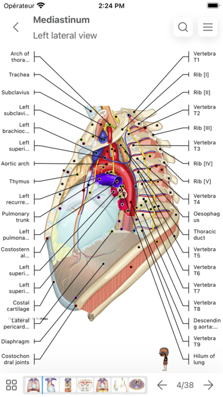 imaios e-Anatomyİ v4.2 ׿2
