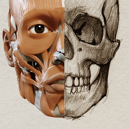 艺术家之3D解剖图(3D Anatomy for the Artist)