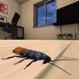 ģϷ(Cockroach Simulator)